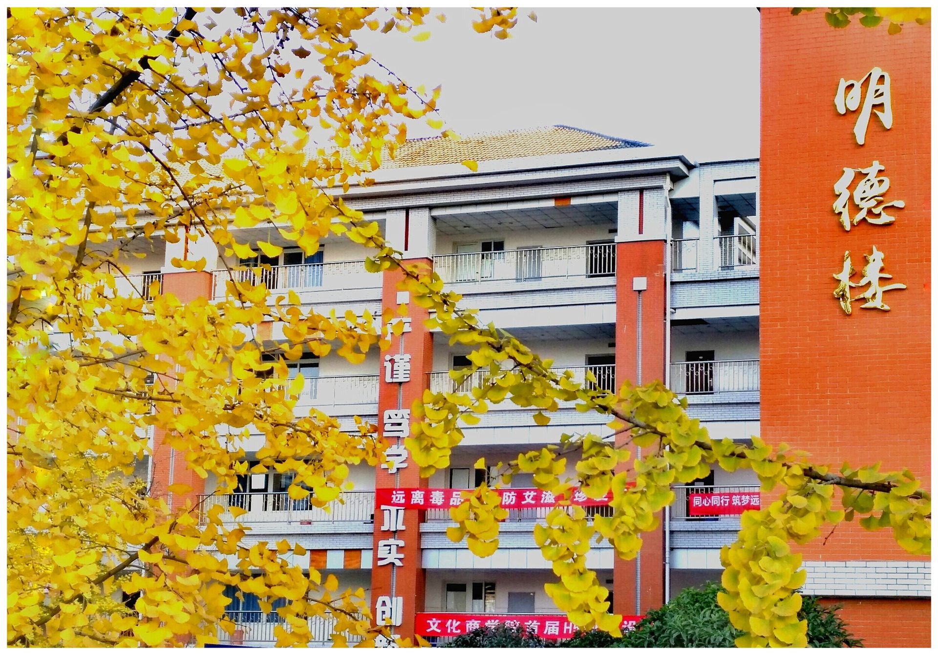 校园建筑